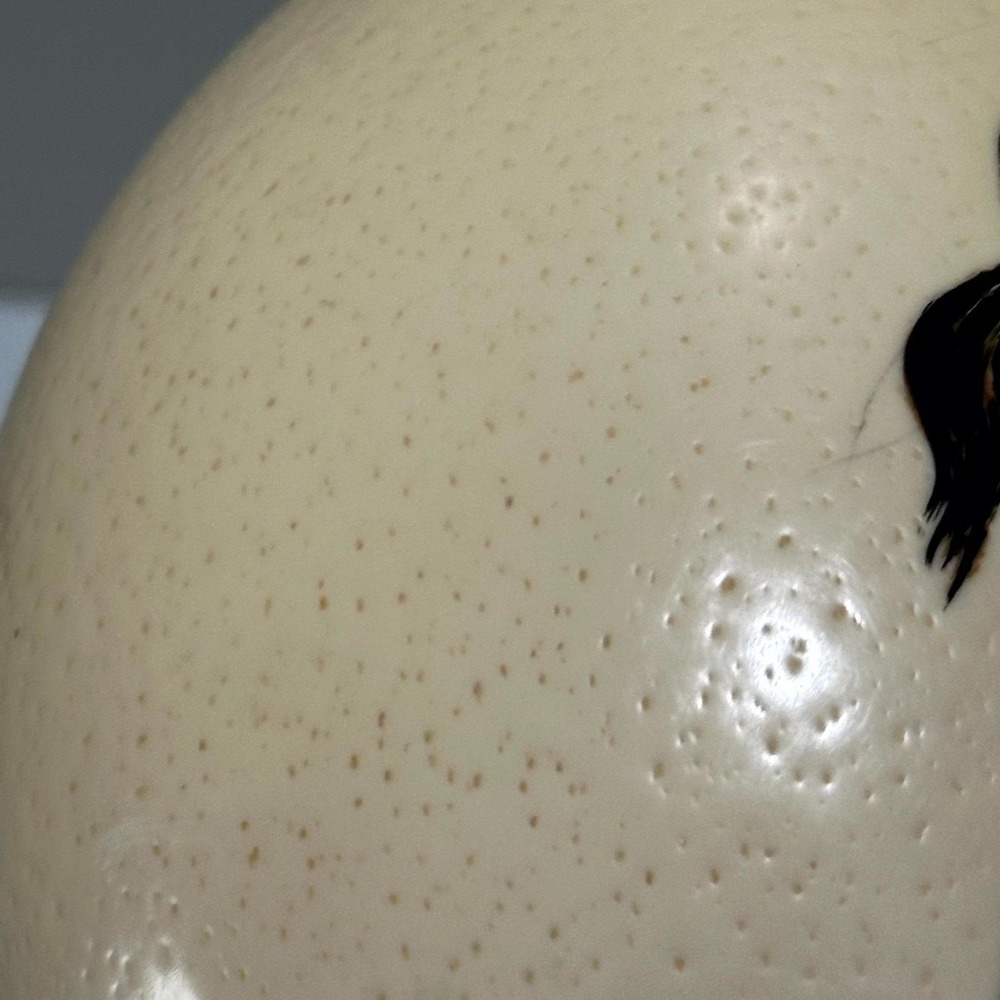 Hand-Painted Ostrich Egg Art "Giraffe and Foal" by Monica Wilson – South Africa - Picture 3 of 10